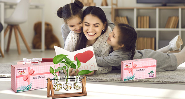Plant Terrarium with Wooden Stand, Air Planter Bulb Glass Vase Metal Swivel Holder Retro Tabletop for Hydroponics Home Garden Office Decoration - 3 Bulb Vase