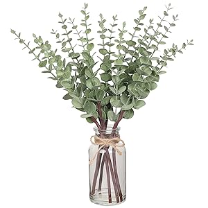 17.5" Artificial Eucalyptus Stems in Glass Vase with Faux Water,Fake Plant Eucalyptus Leaves White Seeds for Centerpiece Table Decorations Farmhouse Wedding Home Greenery Decor (Sage Green)
